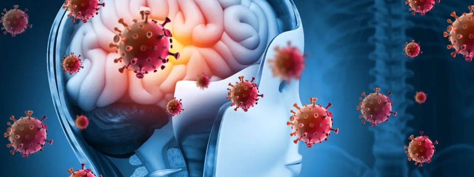 Ministry of Health Identifies Surge in Meningitis